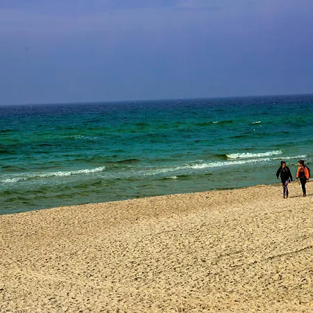 Polanki 205 * コウォブジェク