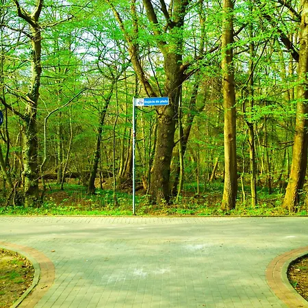 Polanki 205 アパート *