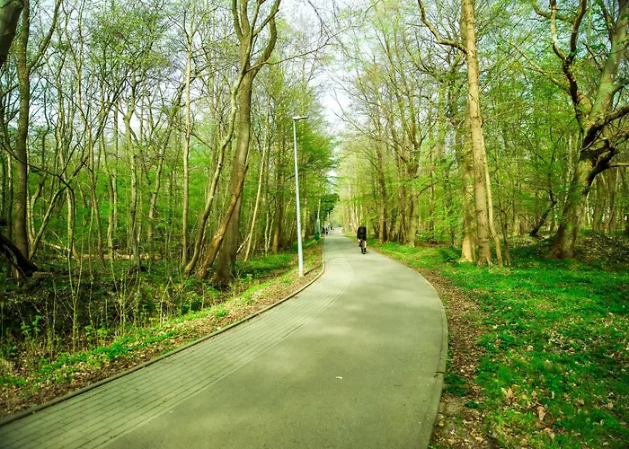 Polanki 205 Appartement